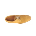 218 634 C Camel6_1-6